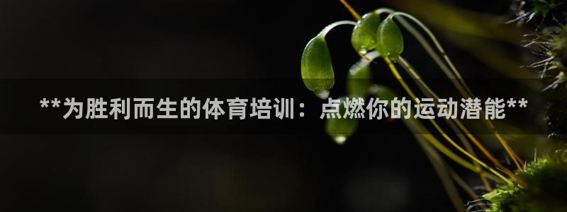 耀世娱乐是玛雅旗下的吗是真的吗：**为胜利而生的体育