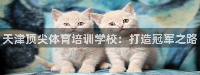 耀世而生什么意思：天津顶尖体育培训学校：打造冠军之路