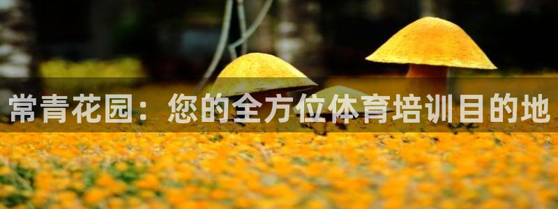 耀世平台客服24小时在线咨询：常青花园：您的全方位体