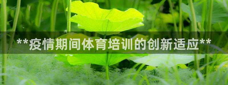耀世集团是干嘛的企业啊怎么样：**疫情期间体育培训的