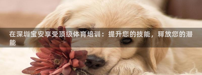 耀世登场什么意思：在深圳宝安享受顶级体育培训：提升您