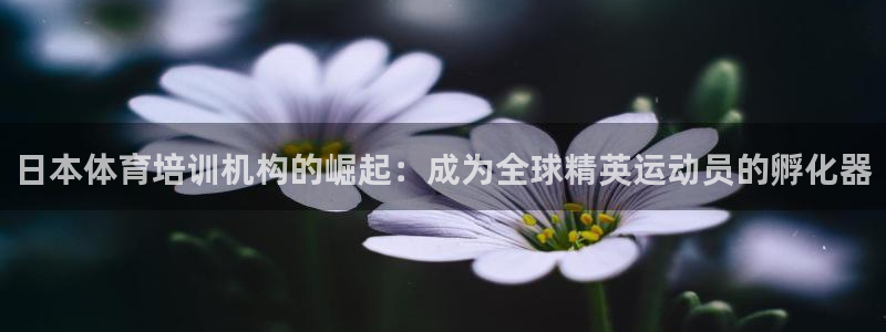 耀世兵权：日本体育培训机构的崛起：成为全球精英运动员